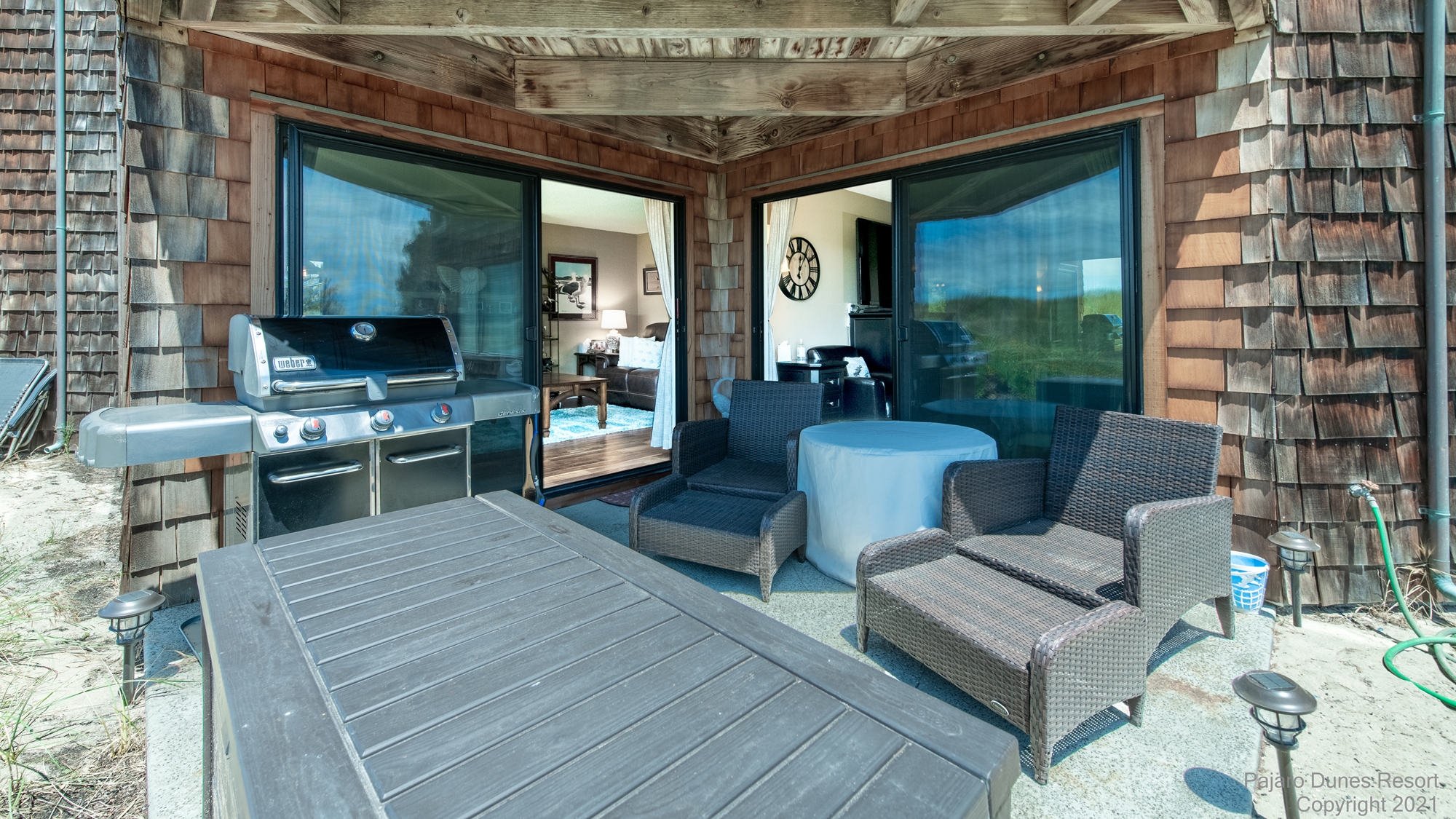 Shorebirds 4 Thumbnail 2