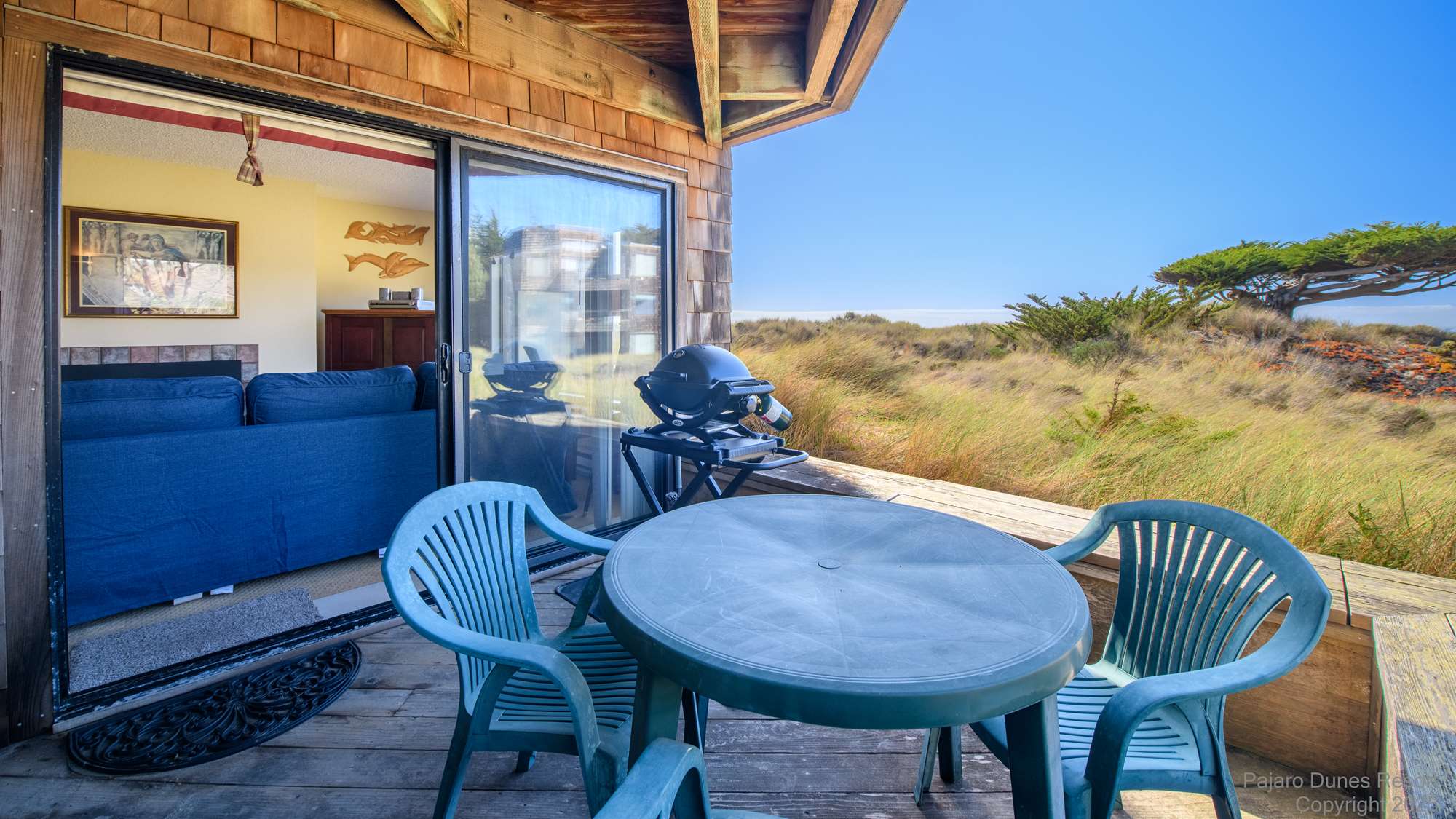 Shorebirds 76 Thumbnail 2