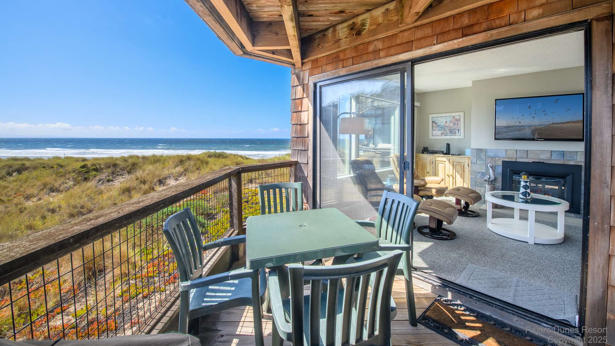 Shorebirds 150 Thumbnail 2