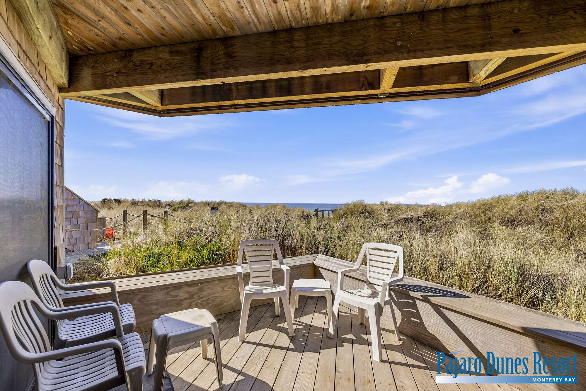 Shorebirds 72 Thumbnail 2