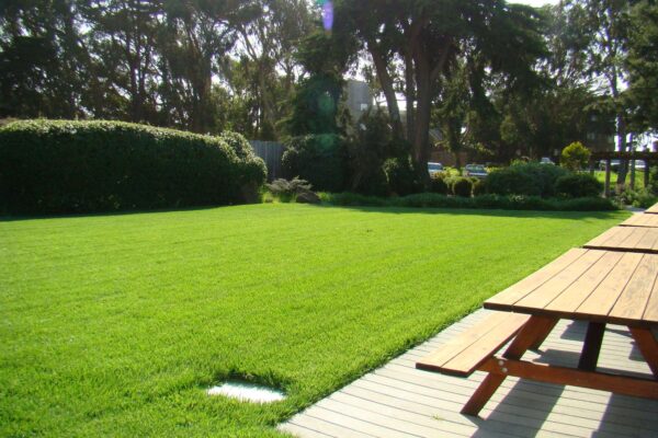 Cypress patio & Lawn