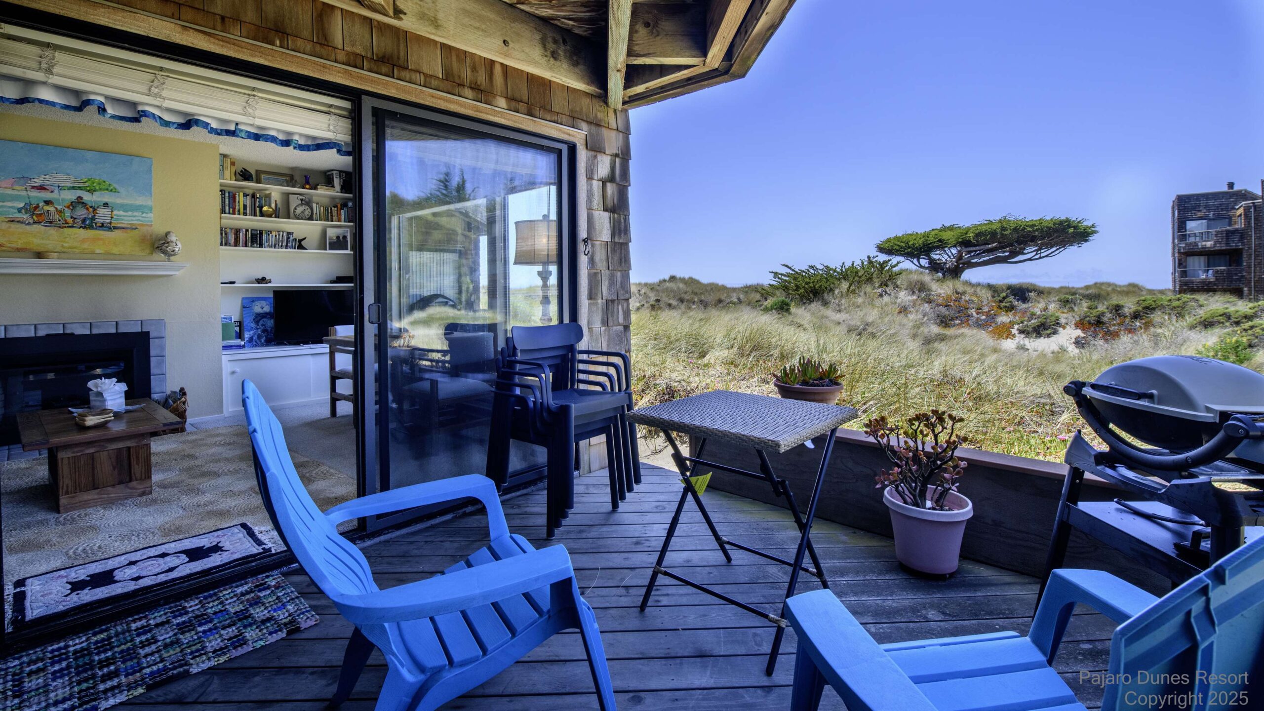 Shorebirds 77 Thumbnail 2