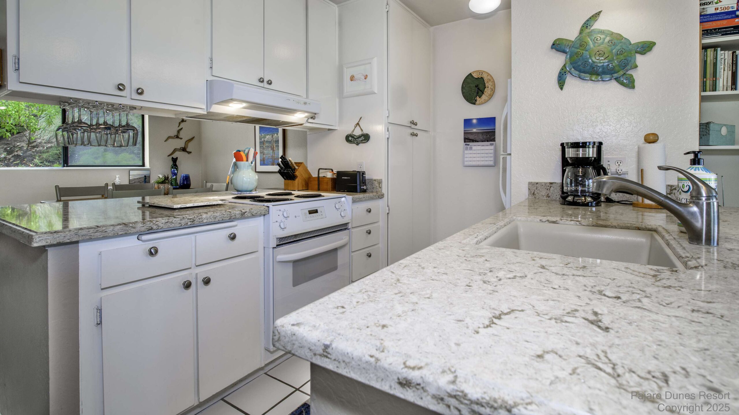 Shorebirds 77 Thumbnail 1